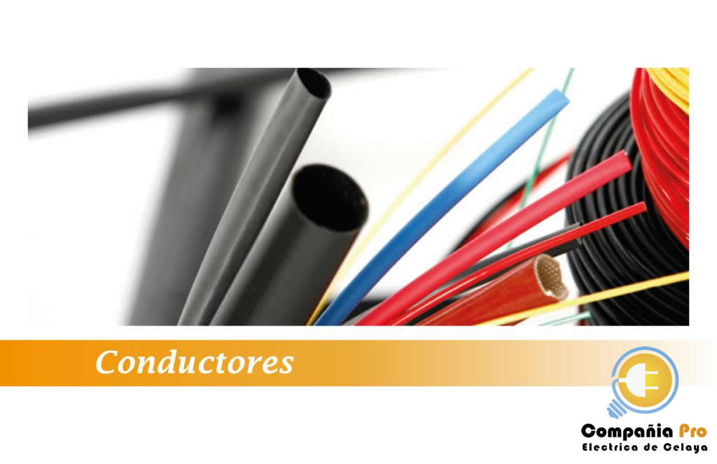  COMPAÑIA PRO ELÉCTRICA CELAYA, S.A. DE C.V.